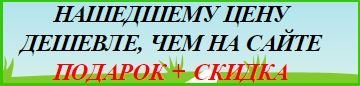 ZENA_1.JPG